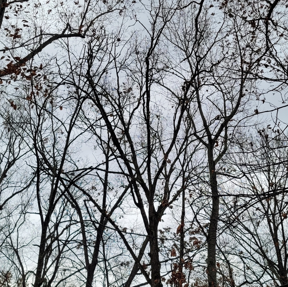 Meet your Posher, RainbowMud!